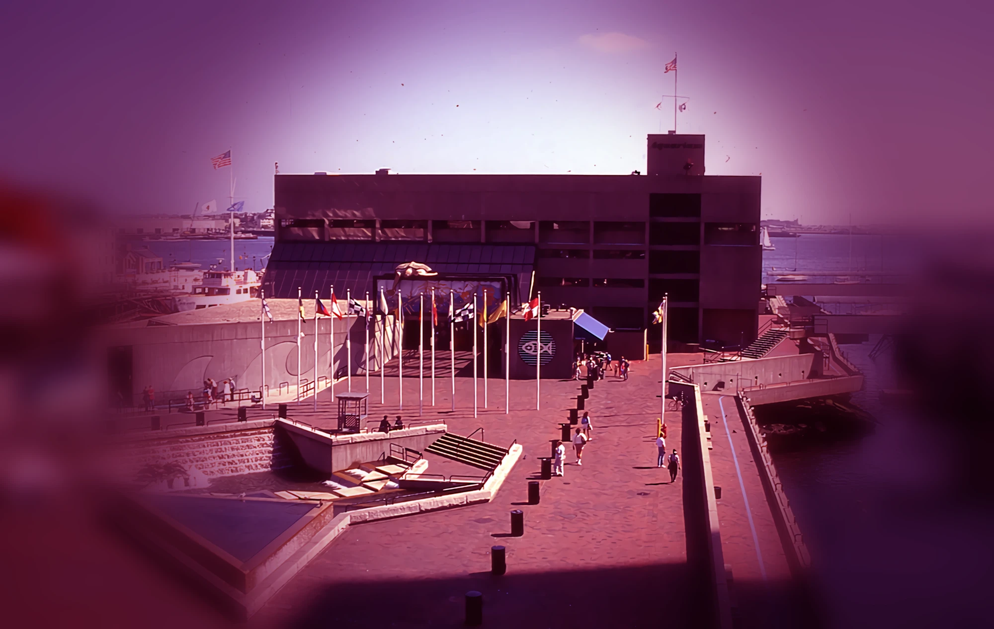 New England Aquarium.webp|New England Aquarium|500