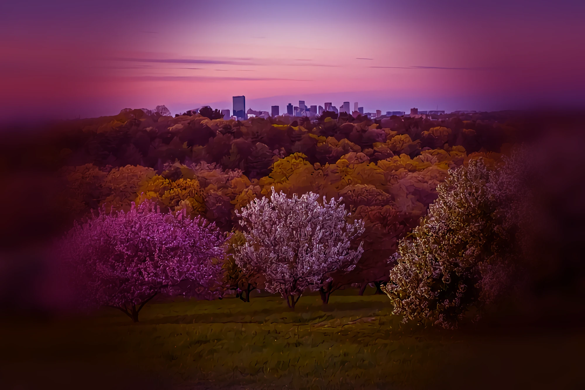 The Arnold Arboretum.webp|The Arnold Arboretum|500